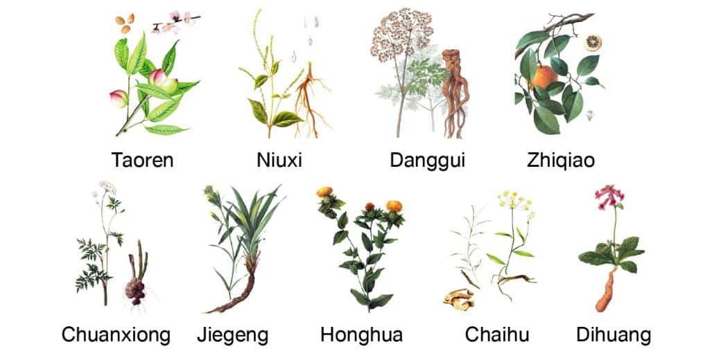 Festine ประกอบไปด้วยส่วนประกอบจากสมุนไพร 9 ชนิด