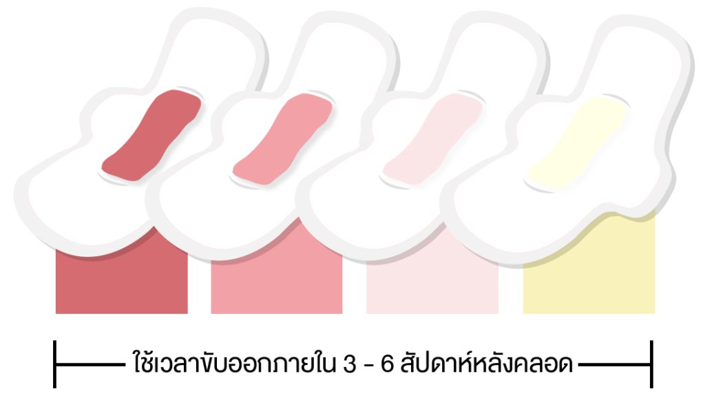 ลักษณะของน้ำคาวปลาที่ระยะเวลาต่างๆ