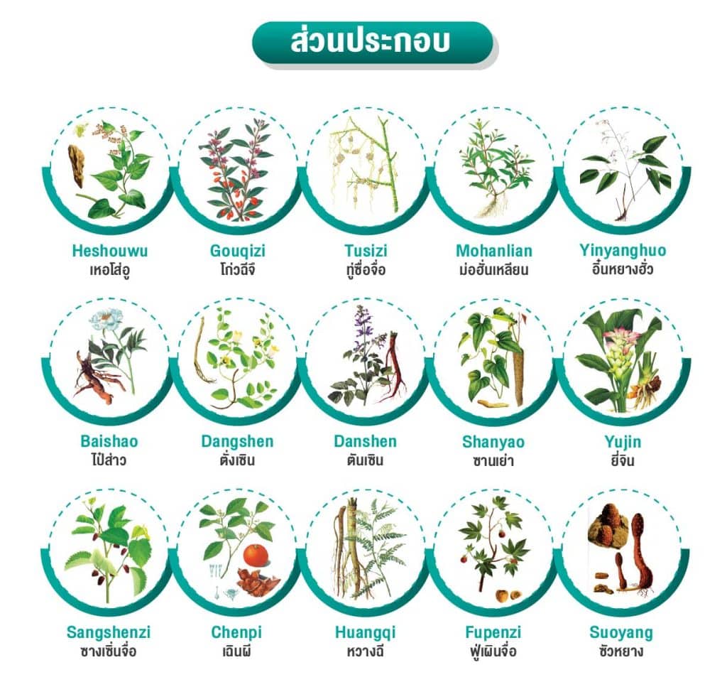 ประกอบไปด้วยยาสมุนไพรหลากหลายชนิด
