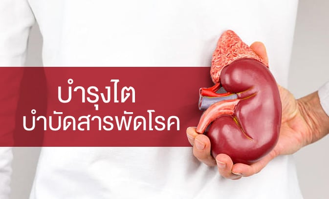 บำรุงไต บำบัดสารพัดโรค