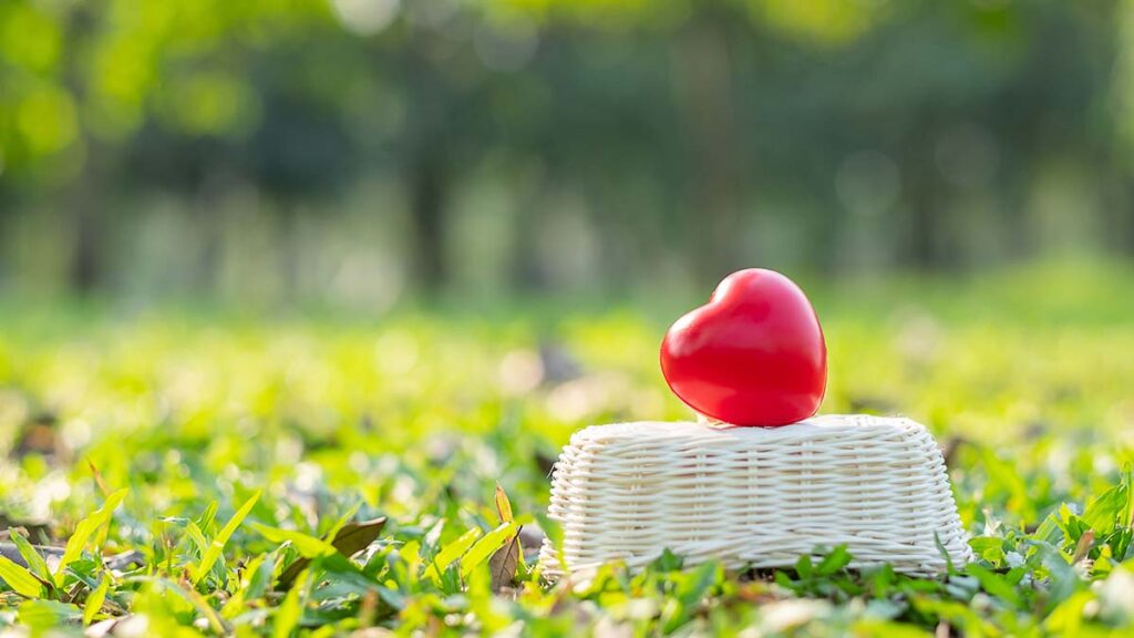 วิธีลดความดันสูงแบบธรรมชาติ ทำได้ด้วยตัวเอง ไม่ต้องกินยา