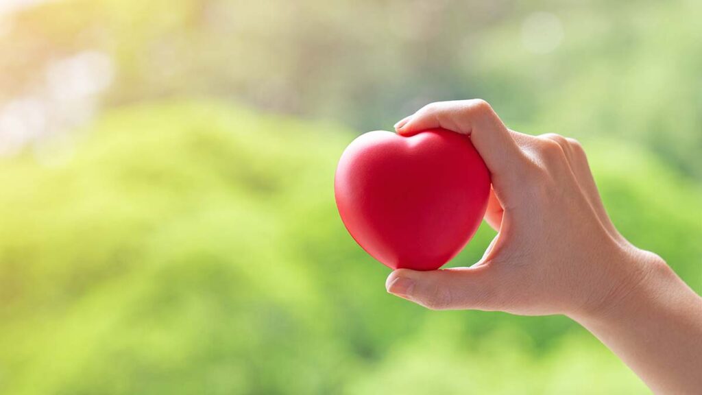 10 วิธีลดไขมันในเลือดแบบธรรมชาติ ทำได้ด้วยตัวเอง โดยไม่ต้องกินยา