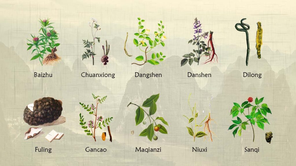 ต้นตำรับยาสมุนไพรจีน รักษาโรคข้ออักเสบ อาการปวดข้อ