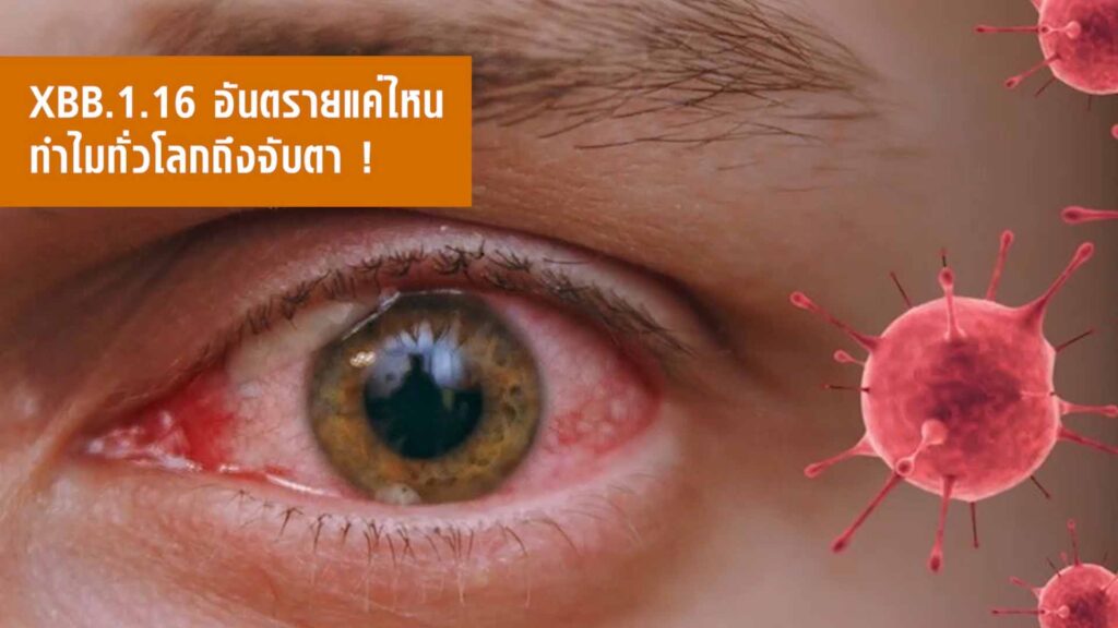 โควิด XBB.1.16 อันตรายแค่ไหน ทั่วโลกถึงจับตา โควิด XBB.1.16 อันตรายแค่ไหน ทั่วโลกถึงจับตา