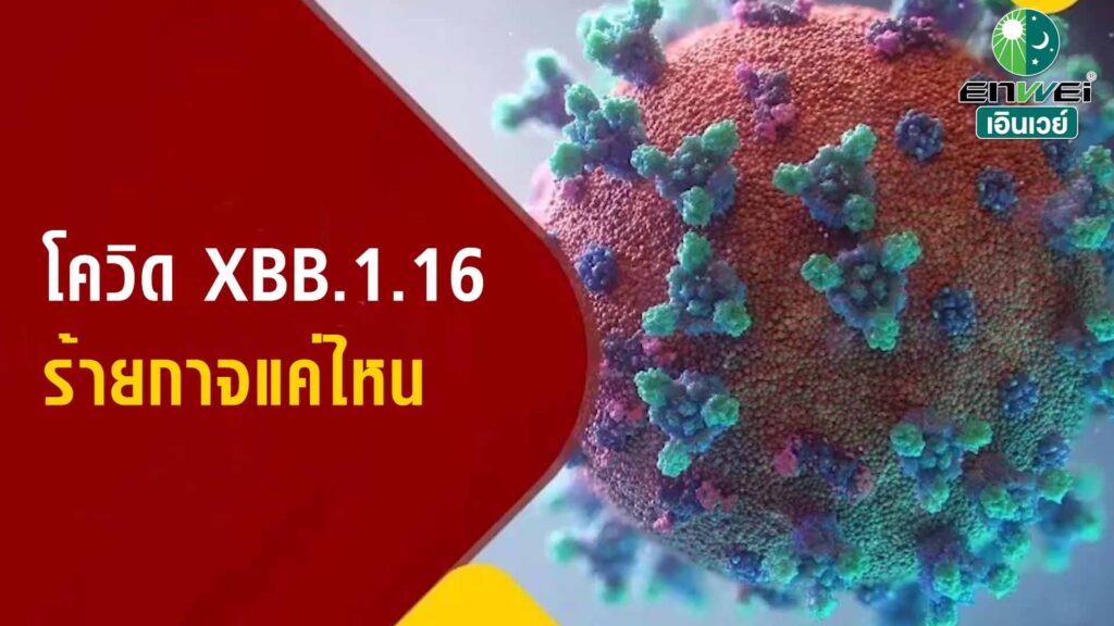 โควิด XBB.1.16 ร้ายกาจแค่ไหน โควิด XBB.1.16 ร้ายกาจแค่ไหน