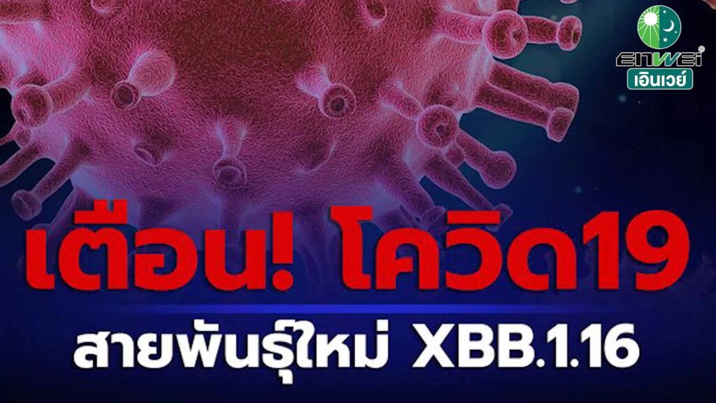 เตือน! โควิด-19 สายพันธุ์ใหม่ XBB.1.16 พร้อมอัพเดทสถานการณ์ล่าสุด เตือน! โควิด-19 สายพันธุ์ใหม่ XBB.1.16 พร้อมอัพเดทสถานการณ์ล่าสุด