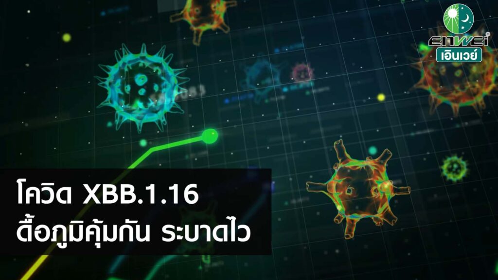 โควิดสายพันธุ์ใหม่ปี 2023 XBB.1.16 ดื้อภูมิคุ้มกัน ระบาดไว โควิดสายพันธุ์ใหม่ปี 2023 XBB.1.16 ดื้อภูมิคุ้มกัน ระบาดไว