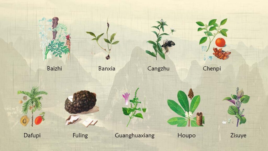 ต้นตำรับยาสมุนไพรจีนรักษาโรคในระบบทางเดินอาหาร