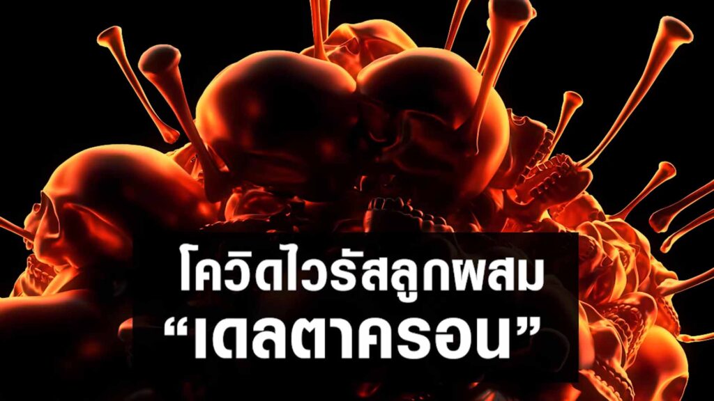 เฝ้าระวัง ไวรัสลูกผสมเดลตาครอน ทีมแพทย์จีนเหลียนฮัว ฮั่วเซียง จากเอินเวย์ แนะวิธีป้องกันดูแล เฝ้าระวัง ไวรัสลูกผสมเดลตาครอน ทีมแพทย์จีนเหลียนฮัว ฮั่วเซียง จากเอินเวย์ แนะวิธีป้องกันดูแล