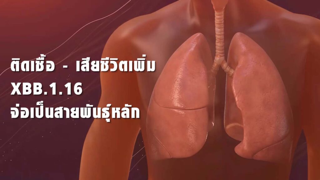 โควิด XBB.1.16 ติดเชื้อ - เสียชีวิตเพิ่ม องค์การอนามัยโลกเตือนให้เฝ้าระวัง