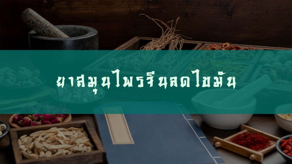 ยาสมุนไพรจีนลดไขมันในเลือด จากศาสตร์การแพทย์จีน