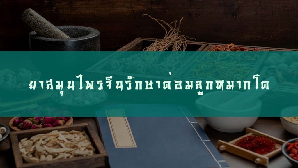 ยาสมุนไพรจีนรักษาต่อมลูกหมากโต จากศาสตร์การแพทย์จีน