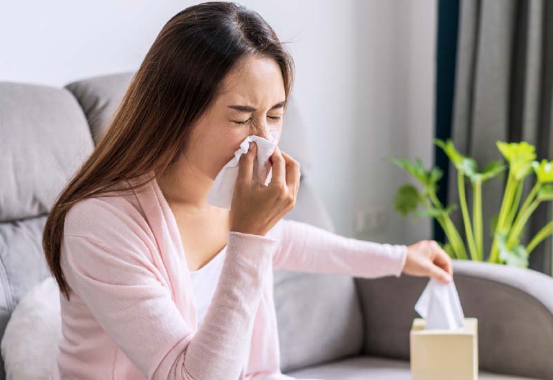 ภูมิแพ้ เอาชนะได้ด้วยวิธีบำบัดตามทัศนะการแพทย์จีน