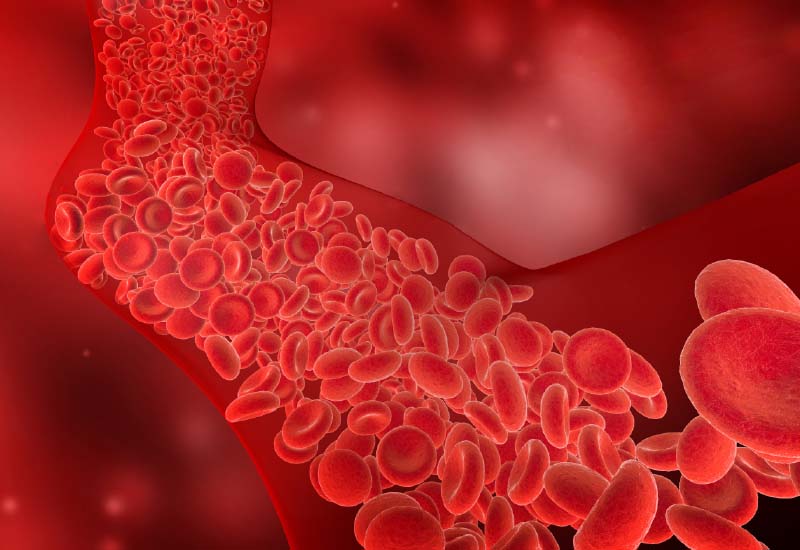 ภาวะเลือดพร่อง ชี่พร่อง ทีมแพทย์จีน COLLATIN เอินเวย์ชี้ สร้างได้ด้วยอือเจียวและโสมคน