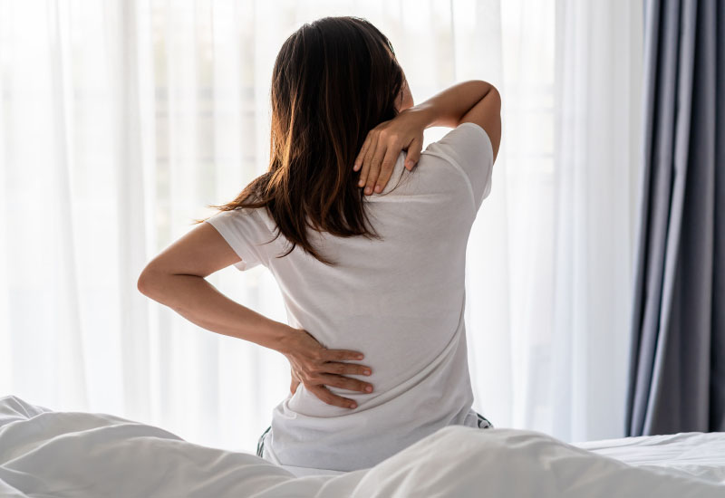 Notoginseng ราชายาสมุนไพรจีนแก้ปวดเมื่อยและฟกช้ำ