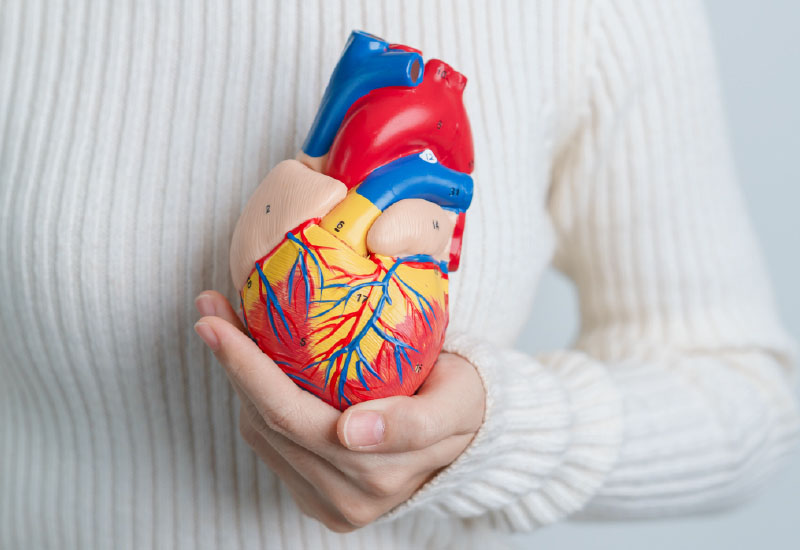 โรคหลอดเลือดหัวใจตีบตัน เสี่ยงหัวใจวาย ป้องกันดูแลแต่เนิ่นๆ