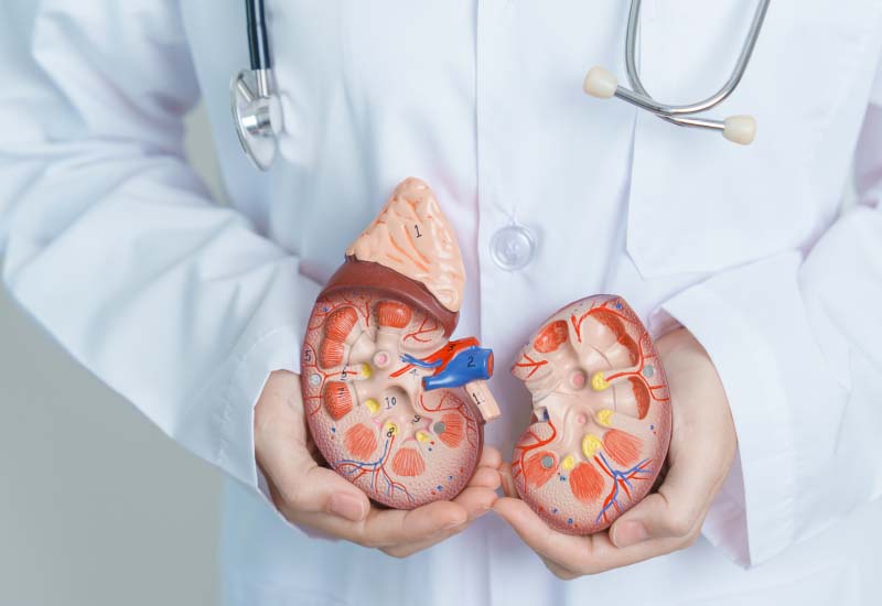 ปัสสาวะมีฟอง โปรตีนรั่วในปัสสาวะ หน่วยไตอักเสบเรื้อรัง ต้องแก้ยังไง