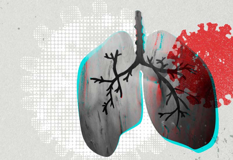 ปกป้องปอด เร่งสร้างภูมิคุ้มกันระบบทางเดินหายใจ สมุนไพรจีนช่วยได้