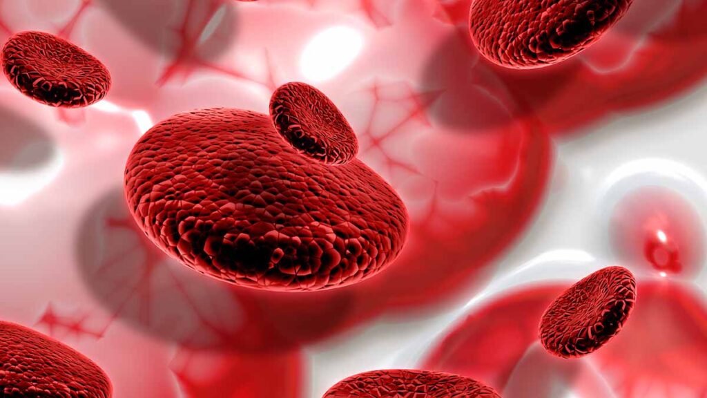 เช็กอาการภาวะโลหิตจาง ภัยร้ายใกล้ตัวที่ไม่ควรมองข้าม