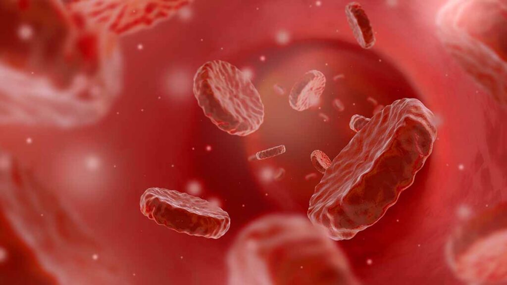 เลือดจาง ควรกิน-ห้ามกินอะไร เผยเคล็ดลับบำรุงเลือดด้วยอาหาร