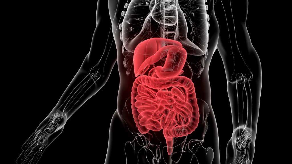 ระบบทางเดินอาหารสมดุลแข็งแรงได้ด้วยตำรับพันปี ยาฮั่วเซียงเจิ่งชี่เย่