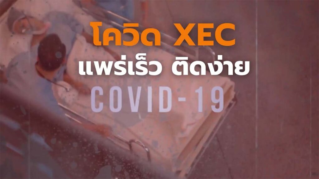 โควิด XEC คืออะไร ทำไมแพร่เร็ว ติดง่าย