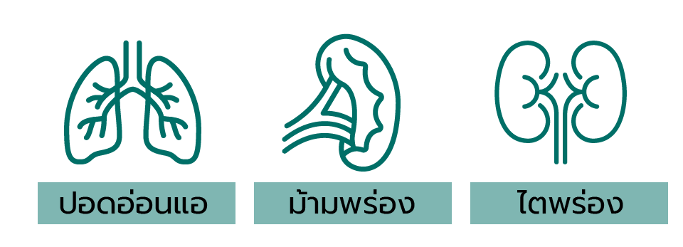 การแพทย์จีนโรคภูมิแพ้จมูก