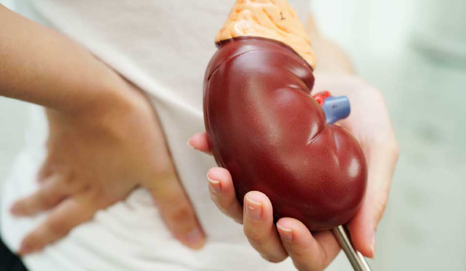 โรคไต 5 ระยะ รู้ไว ป้องกันได้