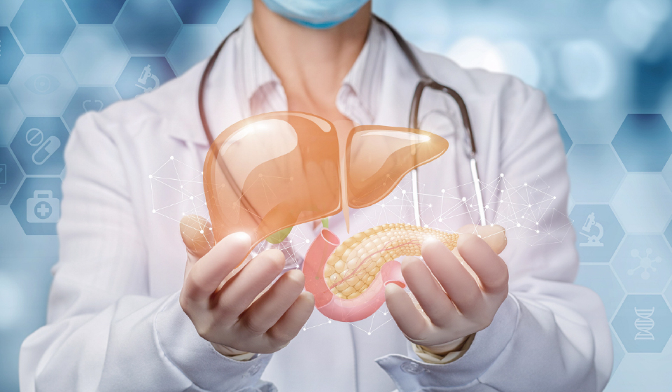 การฟื้นฟูเซลล์ตับอ่อน ก้าวสำคัญของการดูแลเบาหวาน