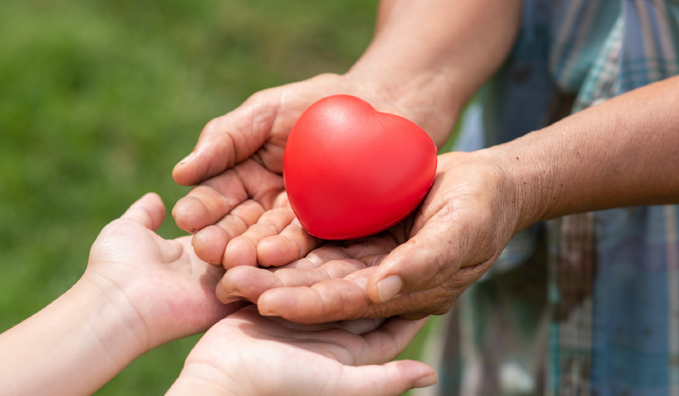 เติมพลังหัวใจให้สดใส ด้วยยาสมุนไพรจีน